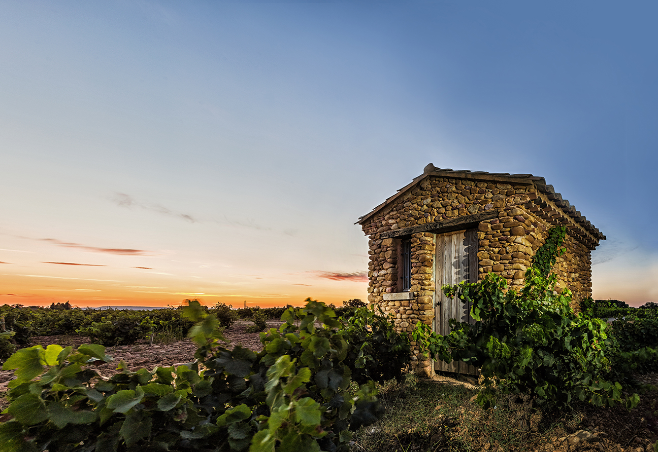 Château de Beaucastel	