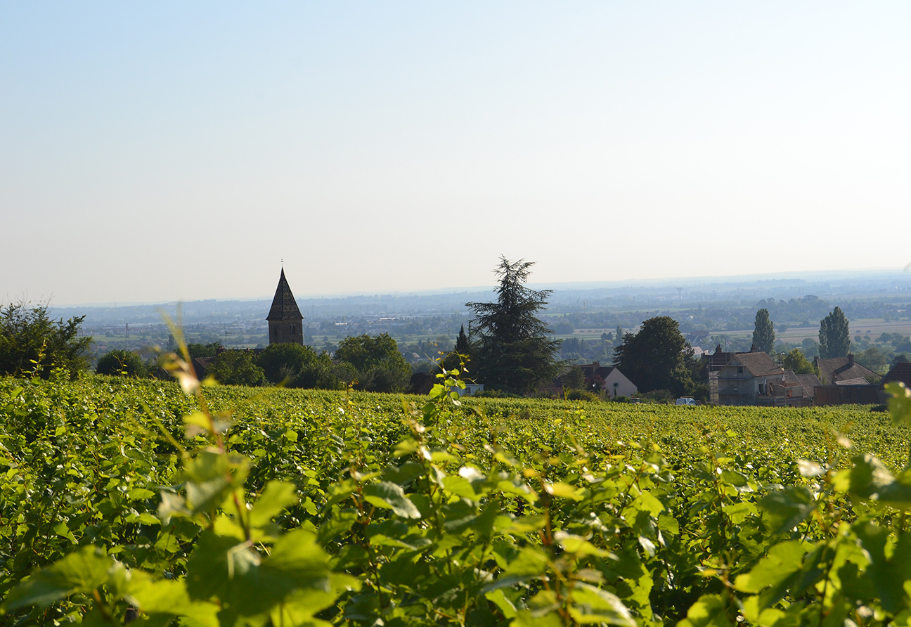 Domaine Berthaut-Gerbet	