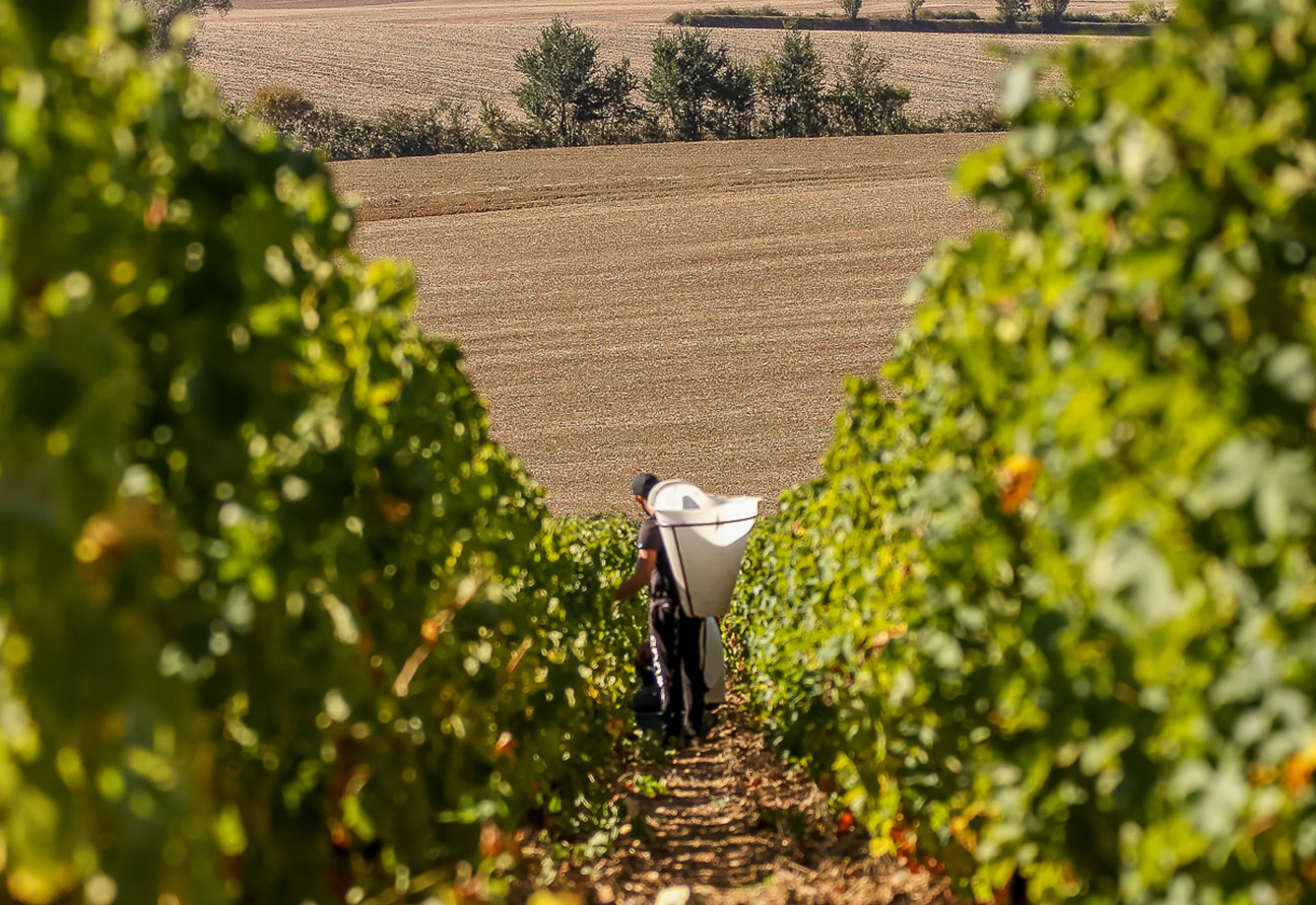 Domaine Didier Dagueneau
