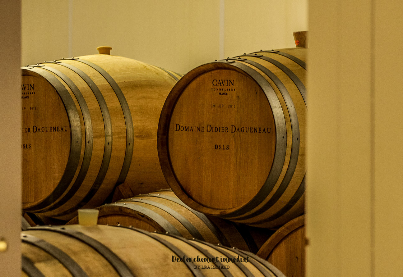 Domaine Didier Dagueneau