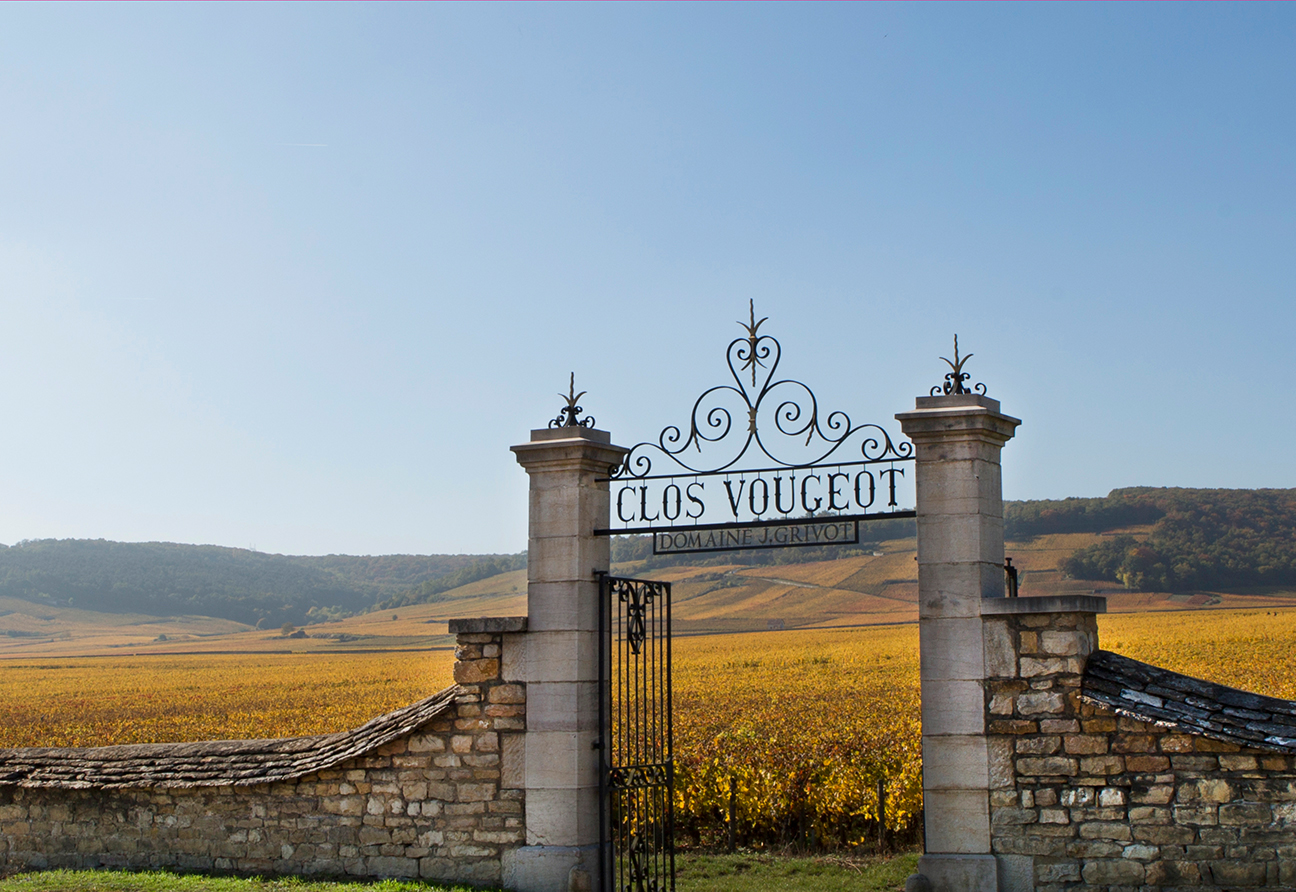 Domaine Jean Grivot	