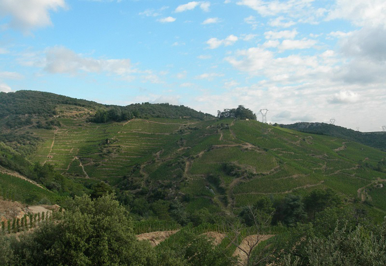 Domaine Vincent Paris