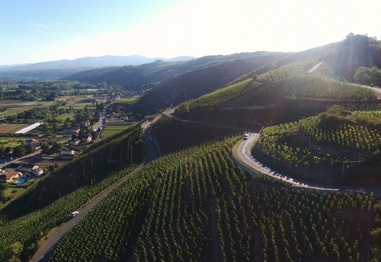 Domaine René Rostaing