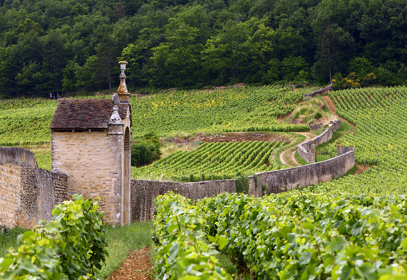 Domaine Armand Rousseau