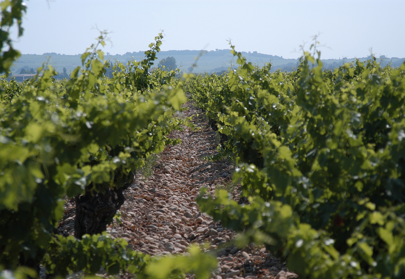 Domaine Pierre Usseglio & Fils