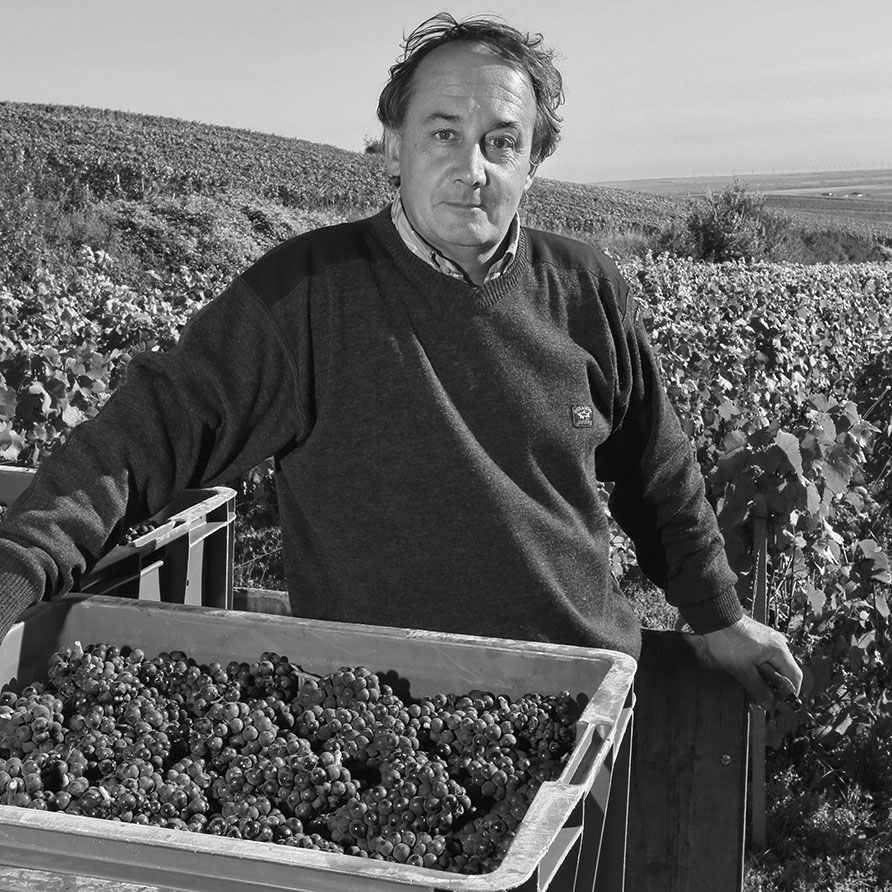 Champagne Egly-Ouriet