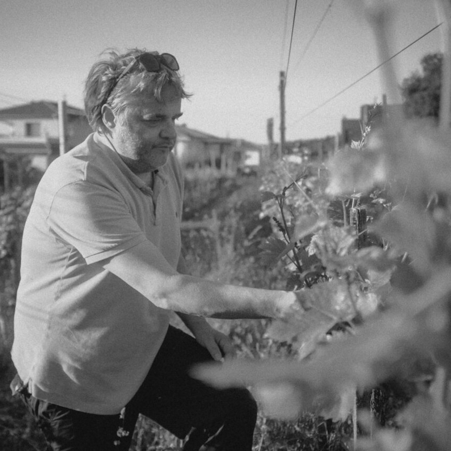 Klosterwingert (Konrad, Nägele, Konrad)