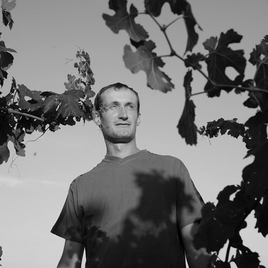 Domaine Vincent Paris