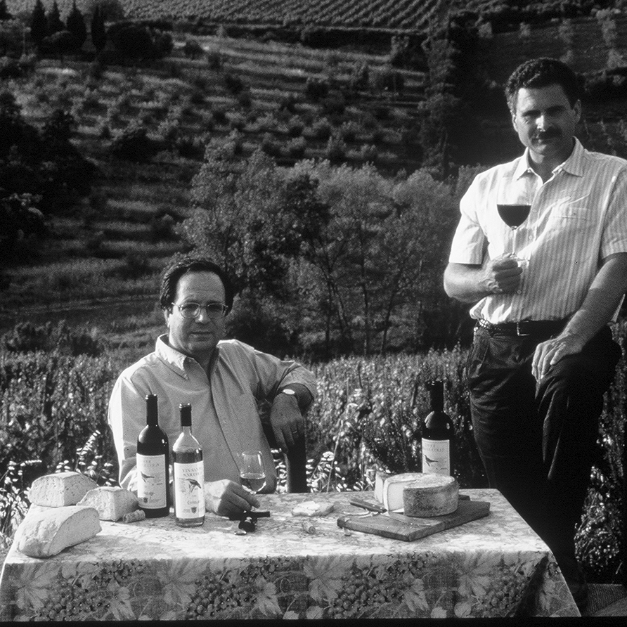 Castellare di Castellina