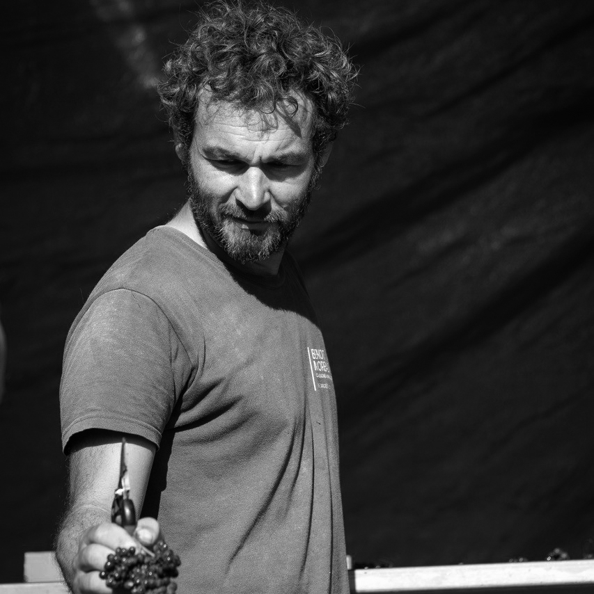 Domaine Benoit Moreau