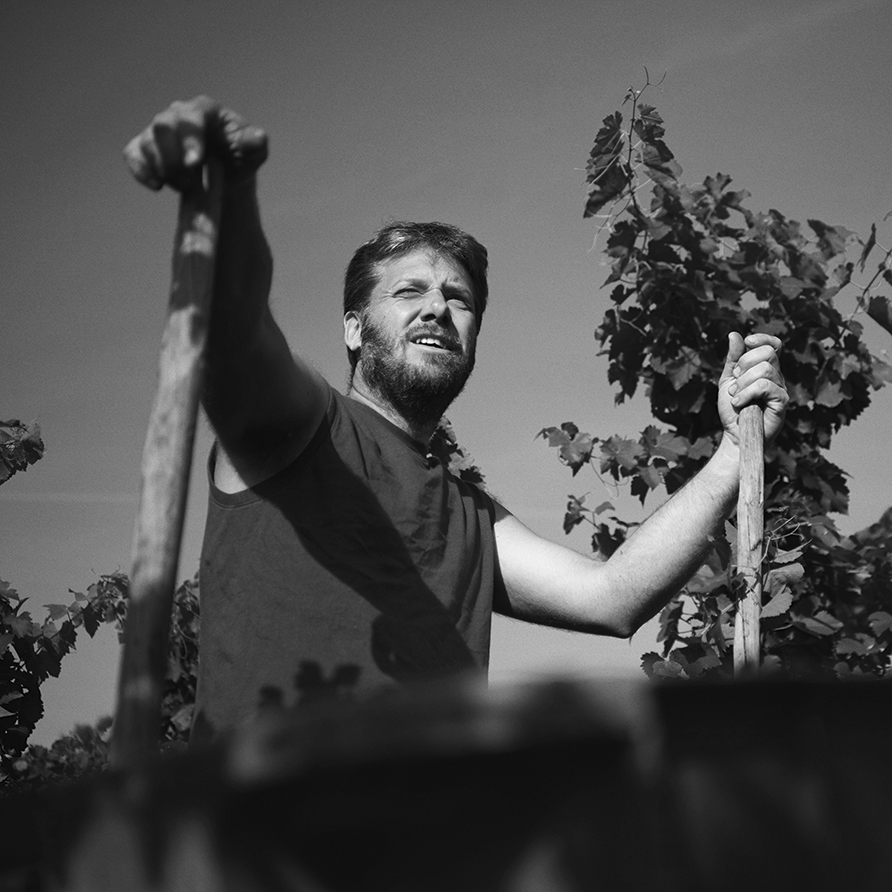 Domaine Auguste Clape