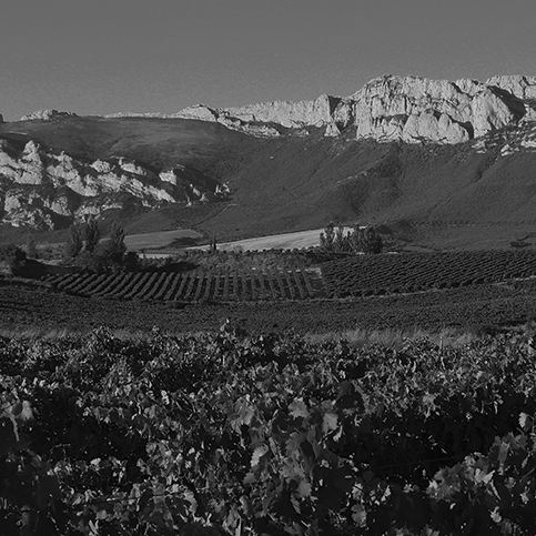 Bodegas Artadi